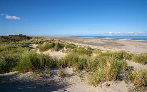 Borkum, Îles de la Frise orientale, Basse-Saxe