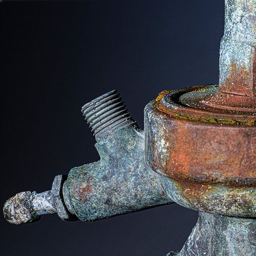 Der Zahn der Zeit – Detail 2