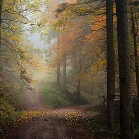L'automne dans la Forêt-Noire sur Guido de Kleijn