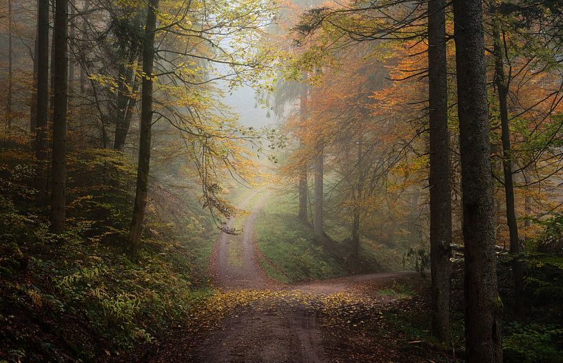 Herfst in het Zwarte Woud van Guido de Kleijn
