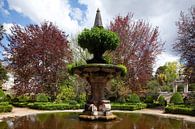 Jardim Botanico, Brunnen, Coimbra, Beira Litoral, Regio Centro, Portugal von Torsten Krüger Miniaturansicht