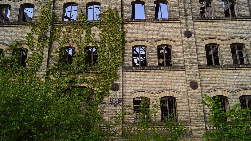 Ruine des Speichers des Mühlenkomplexes Böllberg in Halle in Deutschland von Babetts Bildergalerie