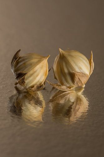Natuurlijke bruintinten: Spiegelend stilleven