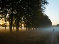 Radfahrer im Nebel