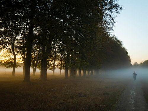 Cycliste dans le brouillard