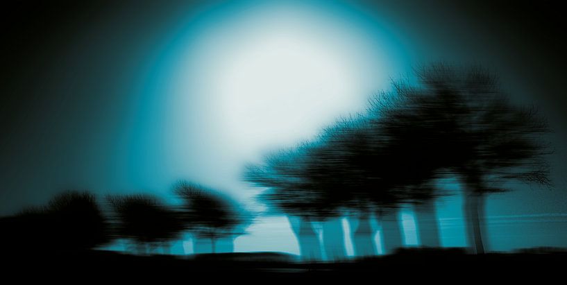 bomenrij abstract Groningen van . Groningenart