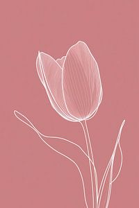 Tulpe Stille 4