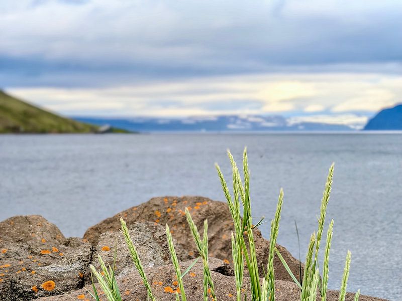 Isafjördur, Iceland, motif 4 by zam art