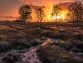 Zonsondergang op het Wierdense veld van Martijn van Steenbergen thumbnail