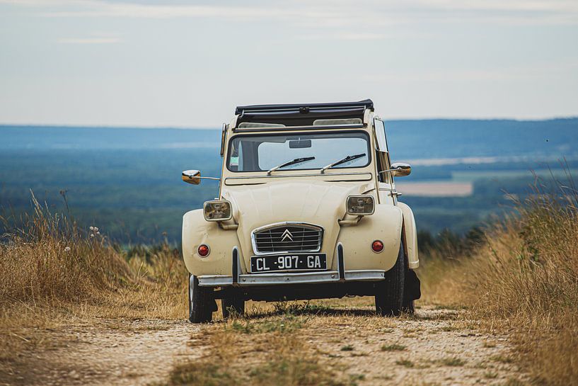 Citroen 2CV von marco de Jonge