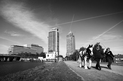 Weespertrekvaart Amsterdam zwart-wit