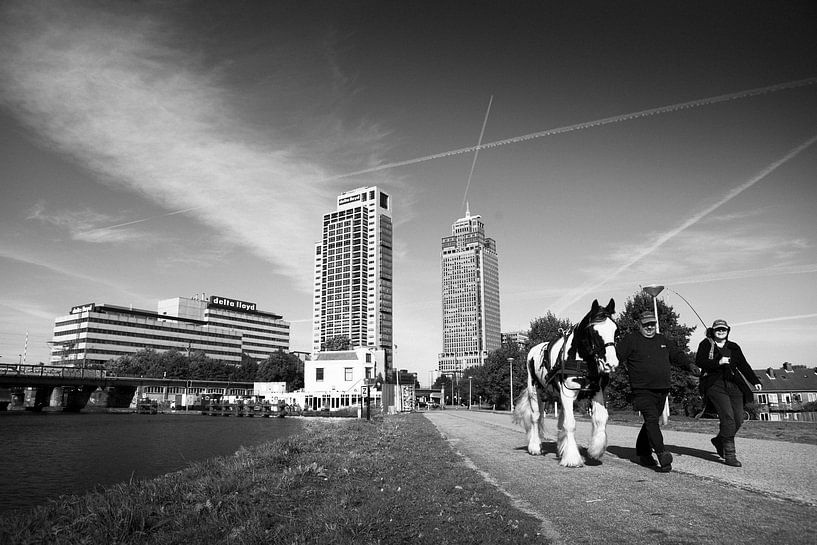 Weespertrekvaart Amsterdam zwart-wit van PIX STREET PHOTOGRAPHY