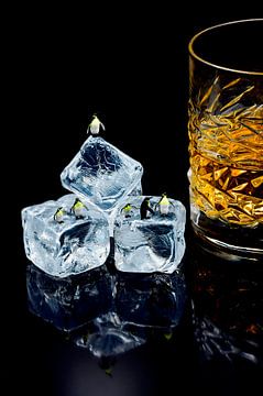 Whiskey on the rocks by Sandra Raangs