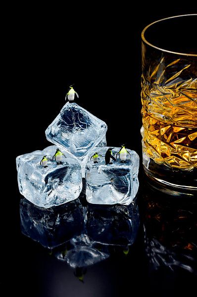 Whiskey on the rocks par Sandra Raangs