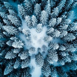 Schneewald Perspektive von Poster Art Shop