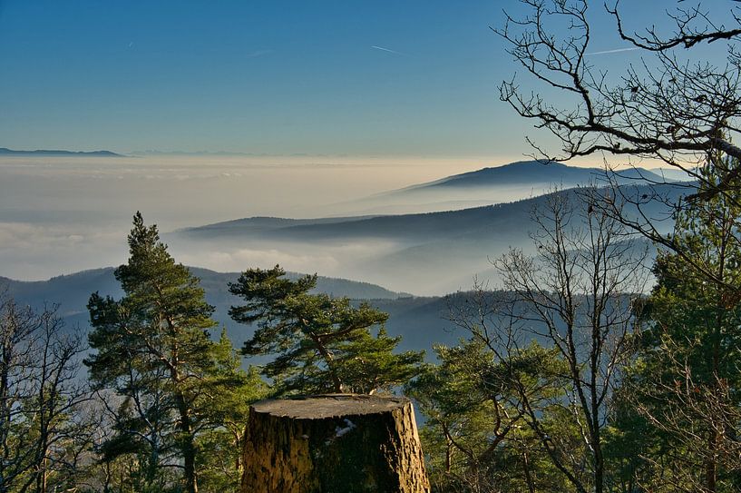 Vosges landscape by Tanja Voigt