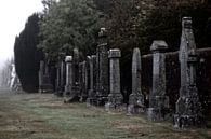 Dryfesdale kerkhof van Ab Wubben thumbnail