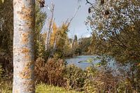 Paysage du lac de Wevelgem