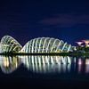 Singapur bei Nacht - Gardens by the Bay III von Thomas van der Willik