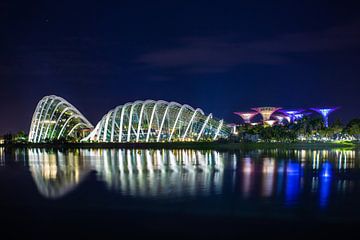 Singapore By Night - Gardens by the Bay III by Thomas van der Willik