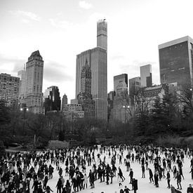 'Central Park', New York  van Martine Joanne