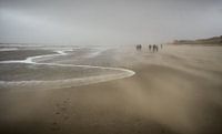 Sandküste bei Callantsoog von Martijn Tilroe Miniaturansicht