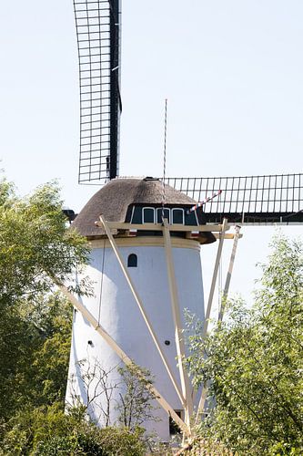 Niederländische Windmühle in Schiedam, Niederlande, im Sommer.
