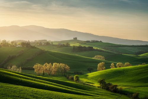 Toscaans glooiend heuvellandschap bij zonsondergang, Orciano Pisano voorjaarslandschap