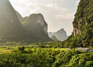 Licun, Chine