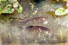 Fishing by Carmen Borg