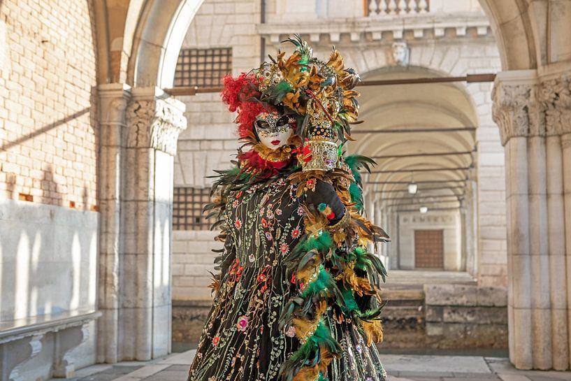 Carnaval de Venise - Magnifique costume sous les arcades du Palais des Doges par t.ART