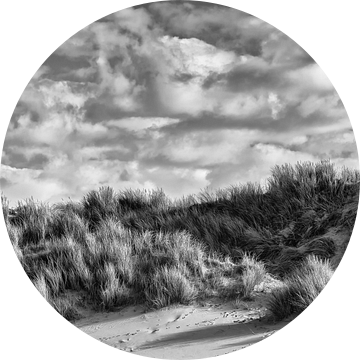 Duinlandschap in zwartwit