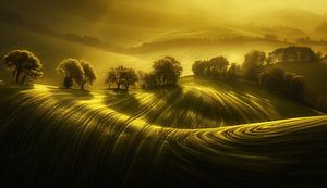 Sommerhügellandschaft erkunden