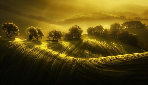 Explore the summer hills