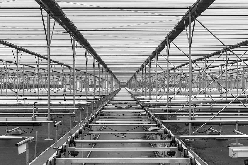 Abstract photo with lines in black and white by Rinus Lasschuyt Fotografie