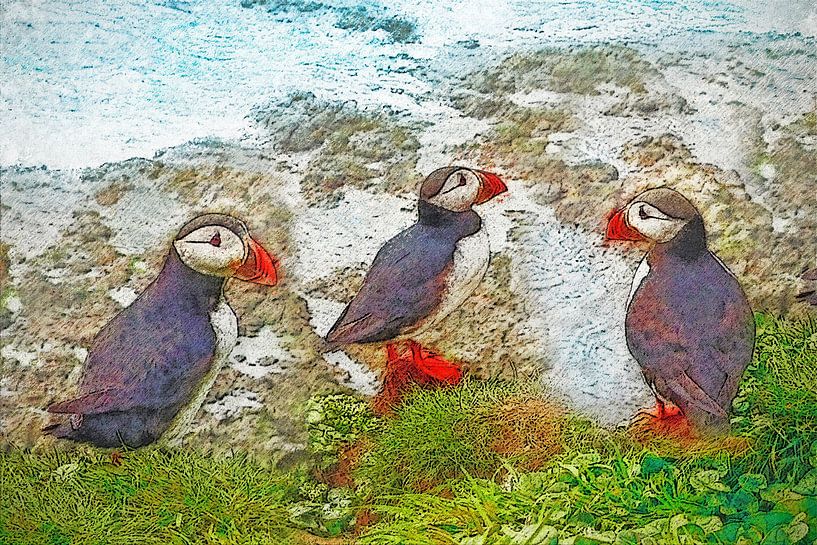 Papageientaucher auf Papey, Island von Frans Blok - Fotos, Kunst und weitere Wanddekoration