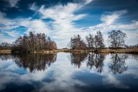 Reflection of nature