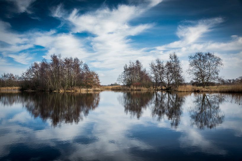 Reflection of nature by AnyTiff (Tiffany Peters)
