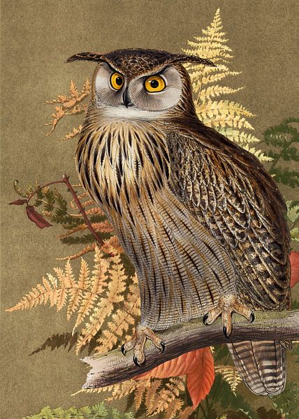 an Owl in Autumn by Marja van den Hurk
