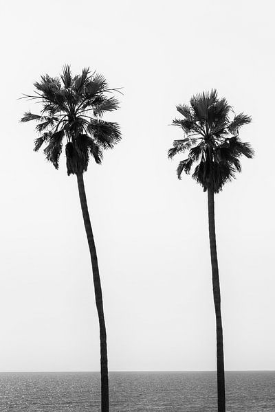 Palmen am Strand | Monochrom von Melanie Viola