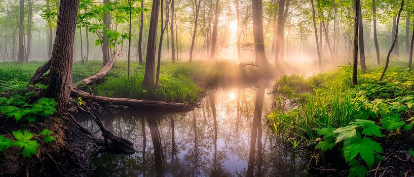 Mystieke bosochtend van Poster Art Shop