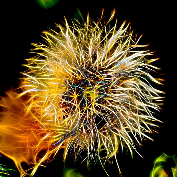 Expressive dandelion by Henryk Rybak