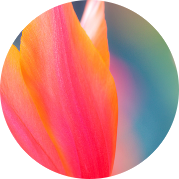 Abstracte foto van tulpen bladeren in volle kleuren van Bas Meelker