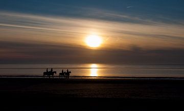 paardjes op het strand van Guido Akster