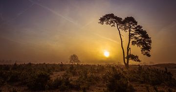 Sunrise von Martzen Fotografie