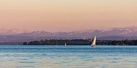 Sailing boat in front of Bodanrück on Lake Constance