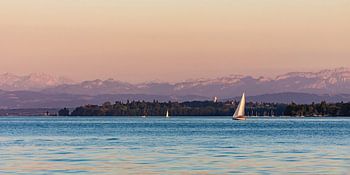 Sailing boat in front of Bodanrück on Lake Constance
