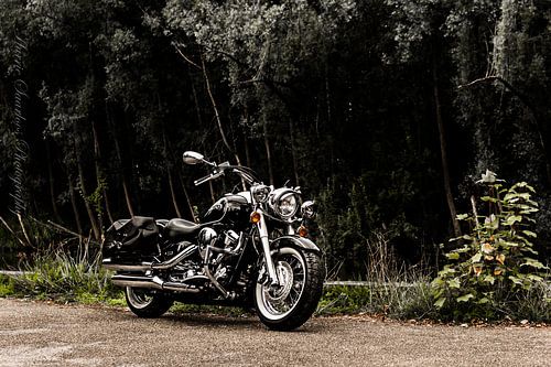 Yamaha XV 1600 Wildstar