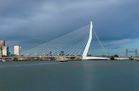 Skyline Rotterdam II van Miranda van Hulst thumbnail