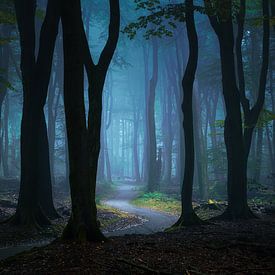 Märchenwald im Nebel von Rob Sprenger